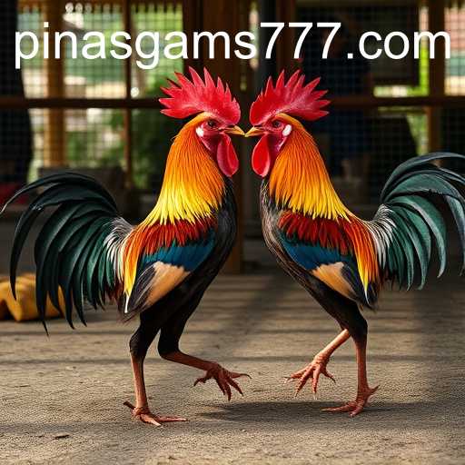 Sabong Games: The Digital Transformation through PINASGAMS